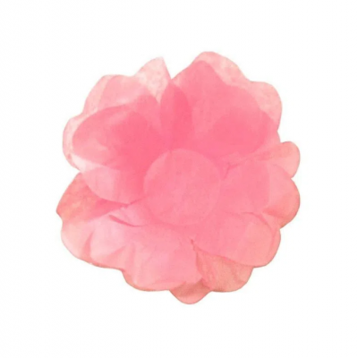 Forminhas flor de seda Rosa bebé