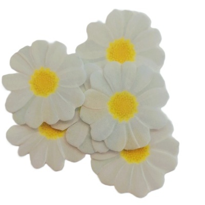 Margaridas em Hóstia