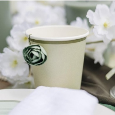 Copos Verde Cinza e Sálvia