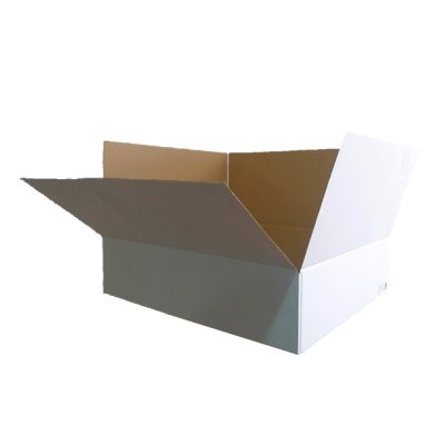 Caixa de cartão branca aberta com interior castanho