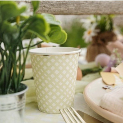 Copos Sortidos Vichy