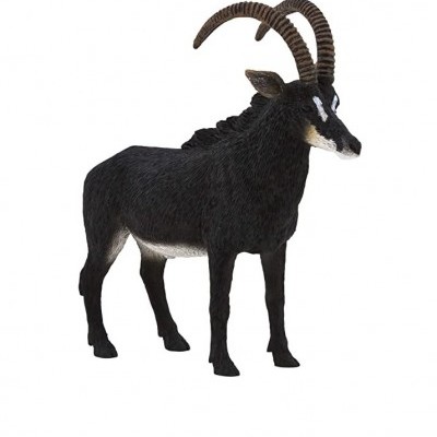 Antílope Negro - XL