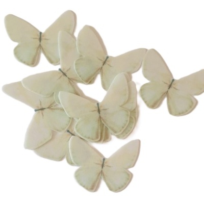 Borboletas Beges em Hóstia