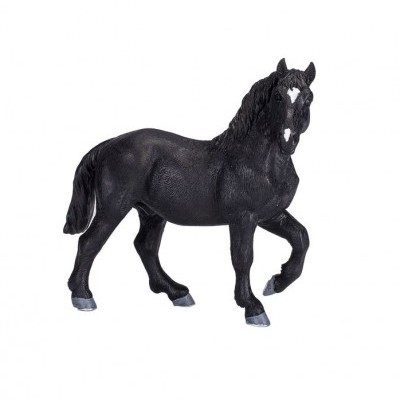 Percheron - XL