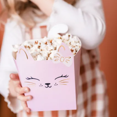 Caixas de pipocas Gata