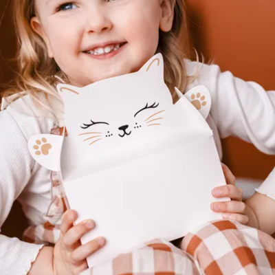 Caixas de bolo decorativas em forma de gato