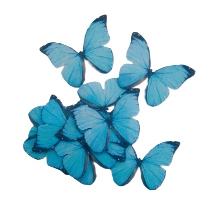 Borboletas azuis em Hóstia