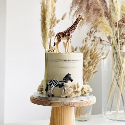 Base de madeira cónico M