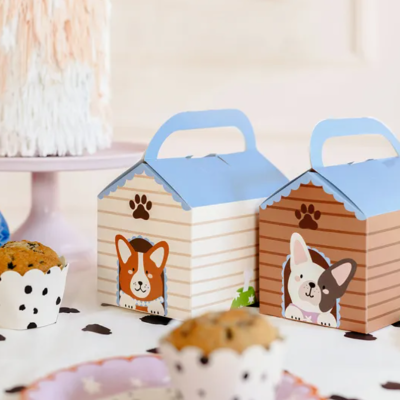 Caixas Brindes  Cães