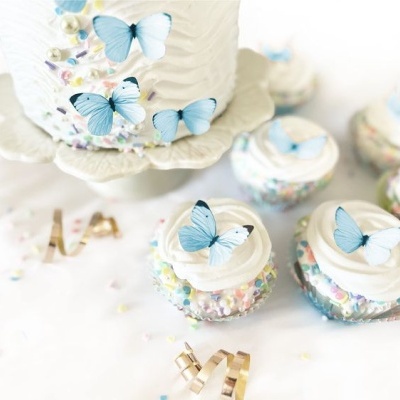 Borboletas azuis em Hóstia