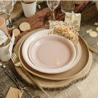 Pratos Creme e Camel