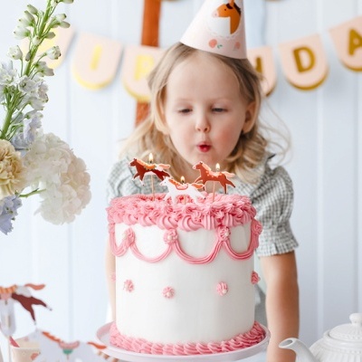 Velas de aniversário de cavalo