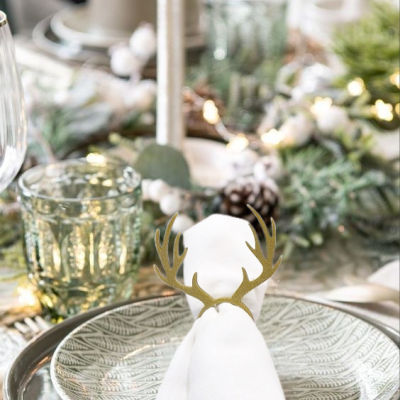 Argolas Rena para guardanapos