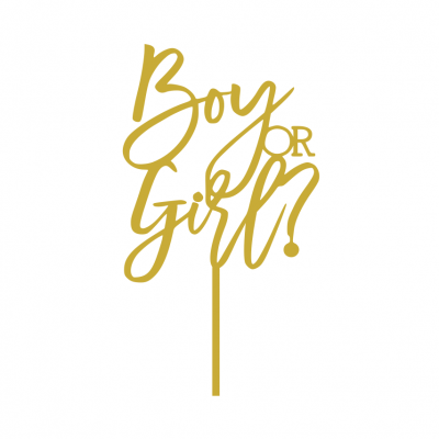 Topo de bolo Boy or Girl