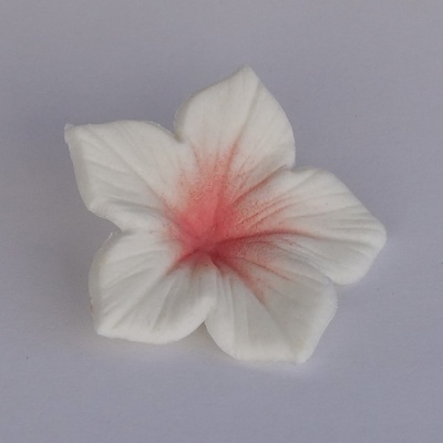 Corante em pó Salmão