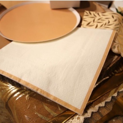 Guardanapos Creme e Camel