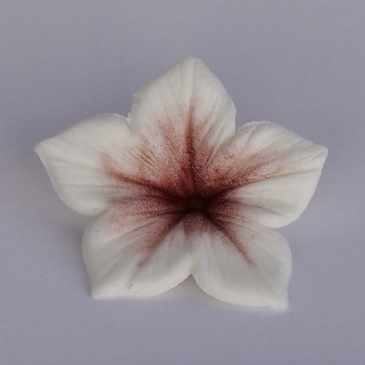 Corante pó Borgonha 7ml