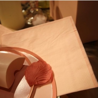 Guardanapos Rosa e Rosa Pó