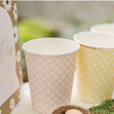 Copos Sortidos Vichy