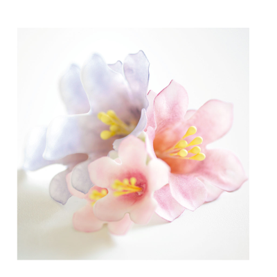 Pistilos para Flores