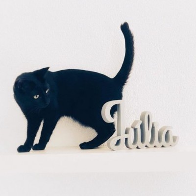 Letras em Madeira Personalizáveis