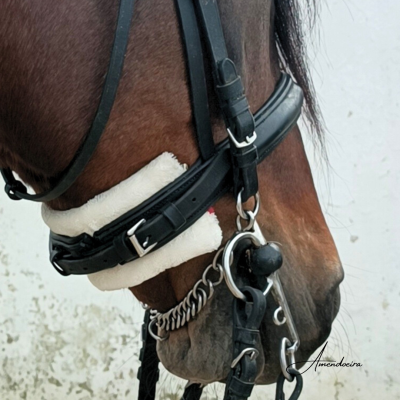 Proteção Focinheira - Branco pérola