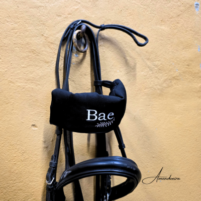 Proteção de Testeira - personalizada