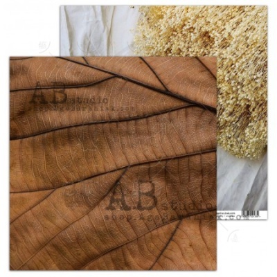 Folhas secas e flores secas em papel decorativo para scrapbooking