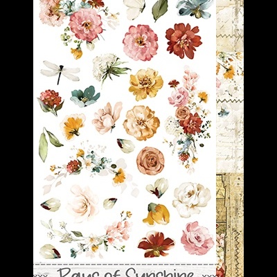 Rays of Sunshine Extra Set pack