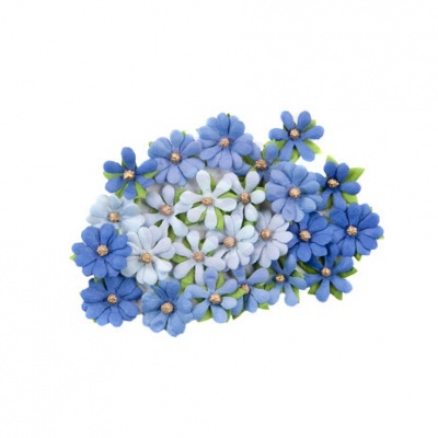 Golden Coast Flowers Marina (640064)