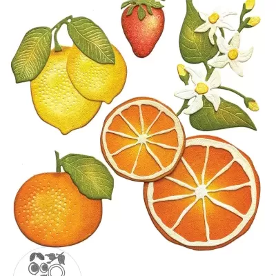 Fresh Fruit - Elizabeth Craft Designs 2233