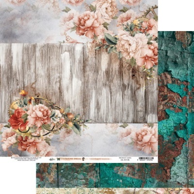 Steampunk Dream - pack 12*12 da coleção