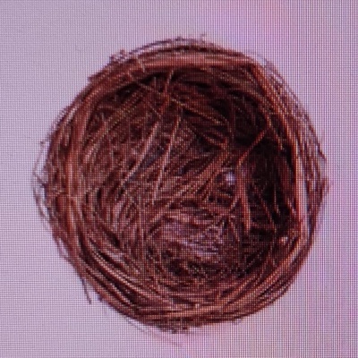 Ninho circular feito de ramos finos contra fundo branco