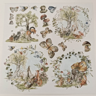 Our Adventures - 8 * 8 pack da coleção