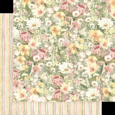 Little One - Collection Pack 8*8