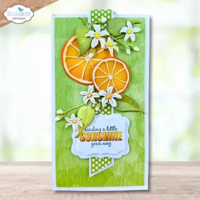 Fresh Fruit - Elizabeth Craft Designs 2233