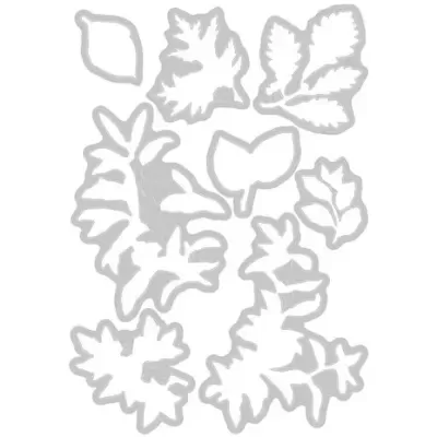 Sizzix Framelits Die w/Stamps by 49 and Market A5 Forever Leaves (8+8pcs) (666706)