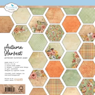 Elizabeth Craft Designs Autumn Harvest 12x12 Inch Patterned Cardstock Paper (C027)