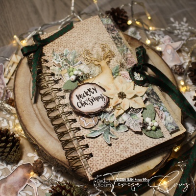 Christmas Daily- com a coleção Winter Time da Scrapboys