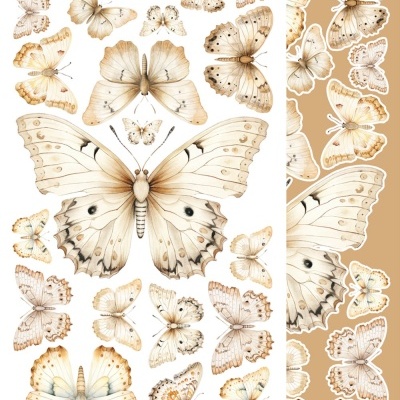 Between Worlds 12*6 extras para recortar