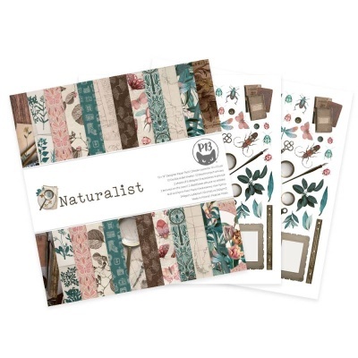 Naturalist - pack 30*30