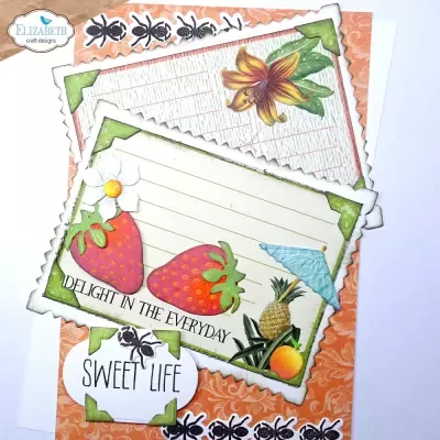 Picture Frames & Mats - Elizabeth Craft Designs 2236