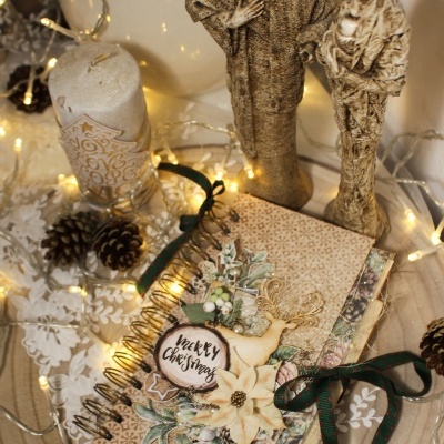 Christmas Daily- com a coleção Winter Time da Scrapboys