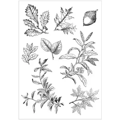 Sizzix Framelits Die w/Stamps by 49 and Market A5 Forever Leaves (8+8pcs) (666706)