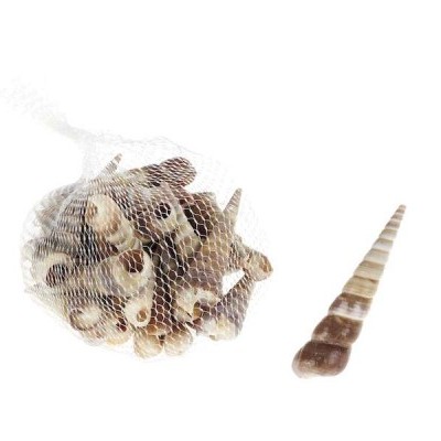 Caracol do Mar (saco)