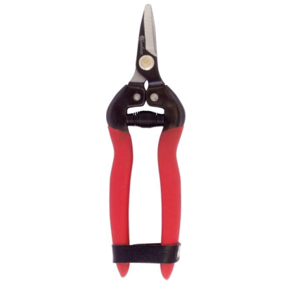 Tesoura Vindima 6072 Kamikaze