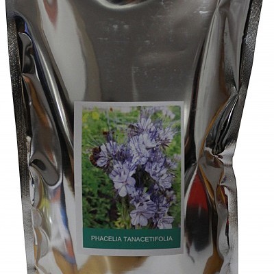 Phacelia 10kg - Phacelia Tanacetifolia