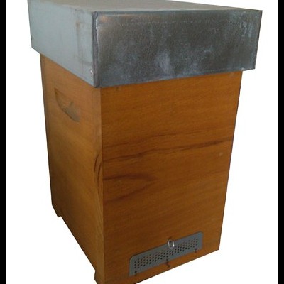 Núcleo de Fecundação Madeira