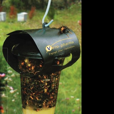 Armadilha para Vespas Kit 1 unidade + Atractivo 10ml