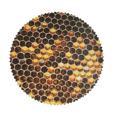 Cobertura em Papel para frascos modelo favos